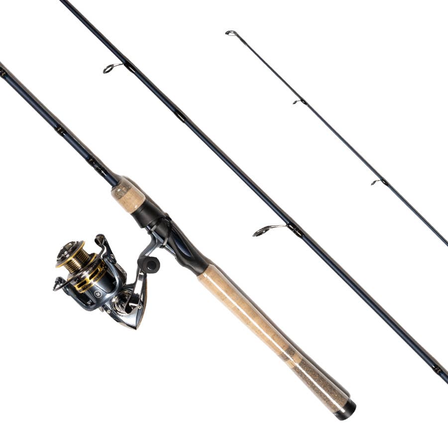 Fenwick Pflueger Nighthawk LP Combo